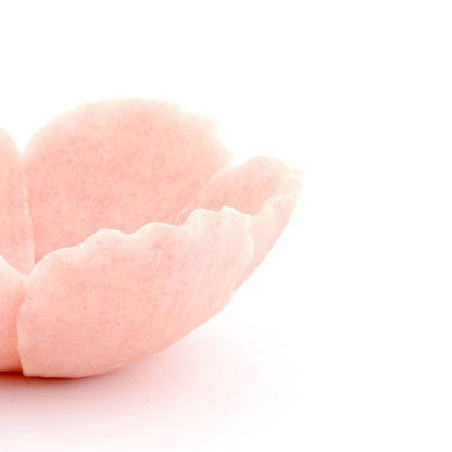 Rose du bol Francesca